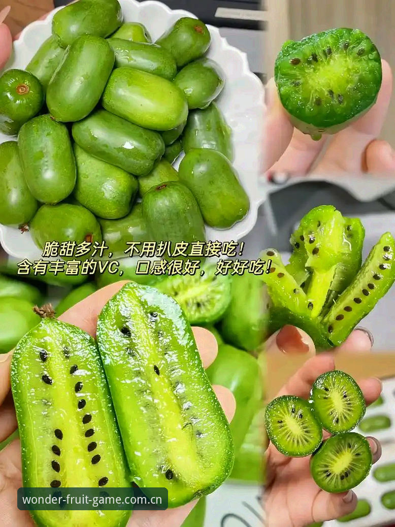 掌握奇异果体育更新的实用技巧：从下载到安全使用全攻略